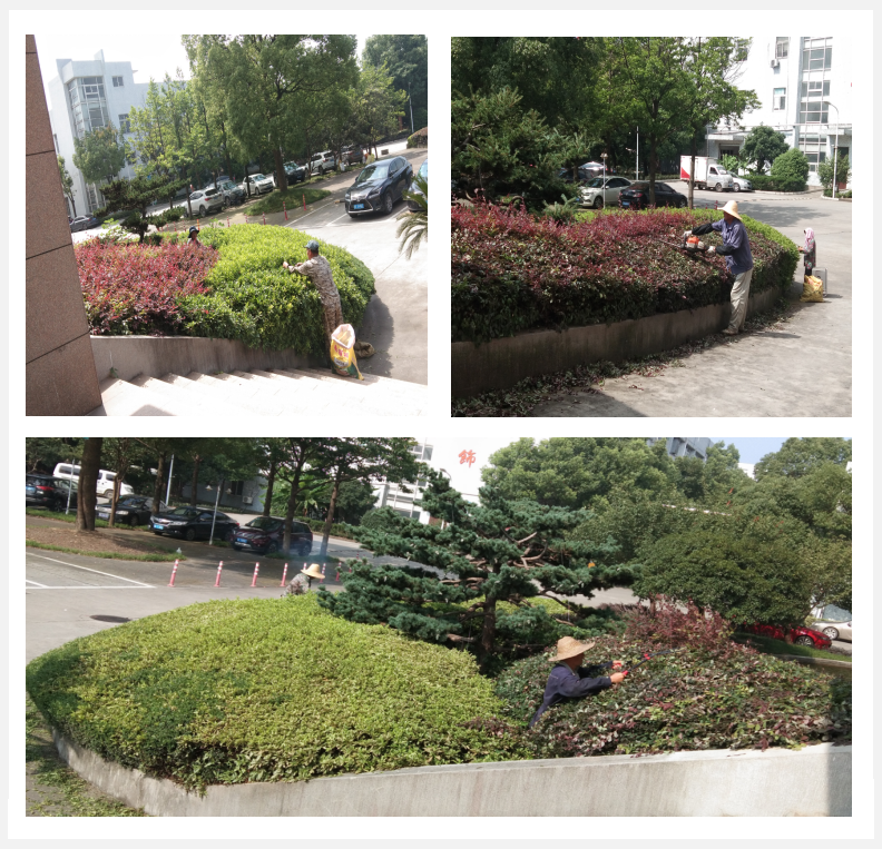 美化綠化，我們在行動      